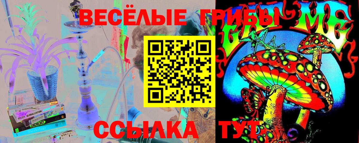 Галлюциногенные грибы Psilocybe Знаменск