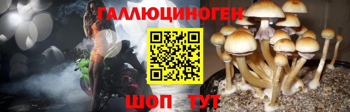 Галлюциногенные грибы Magic Shrooms  Вход с VPN  Псилоцибиновые грибы ЛСД  Знаменск 